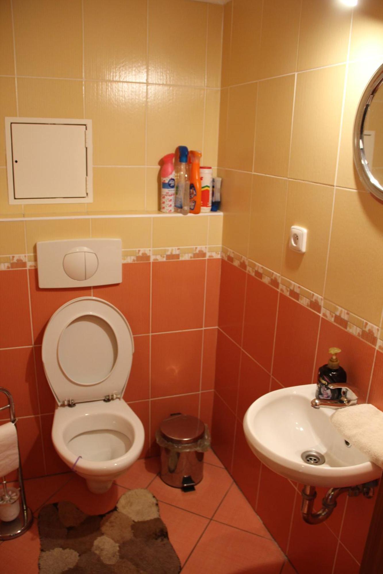 Apartment Lilianna カルロヴィ・ヴァリ 部屋 写真