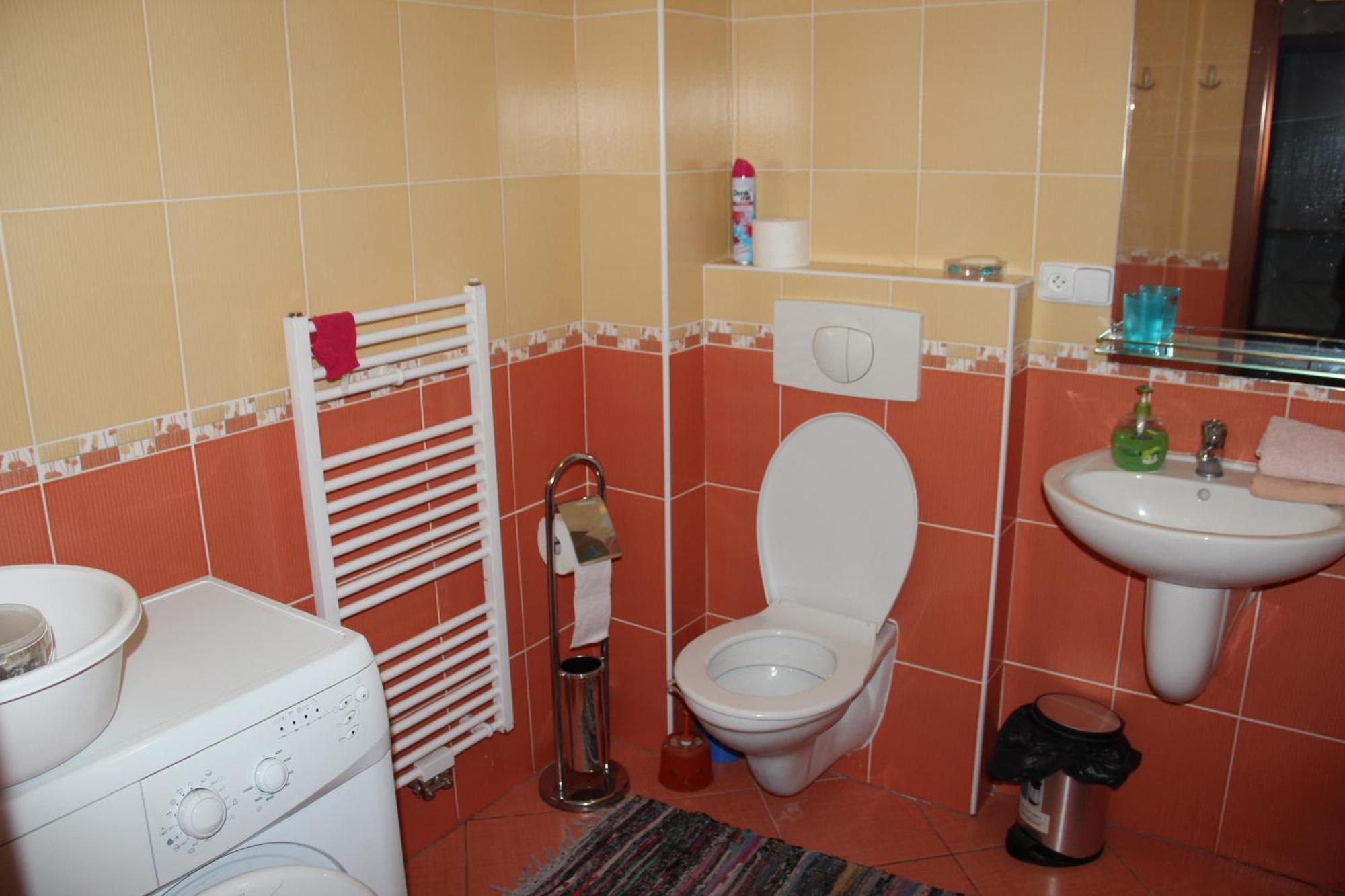 Apartment Lilianna カルロヴィ・ヴァリ 部屋 写真